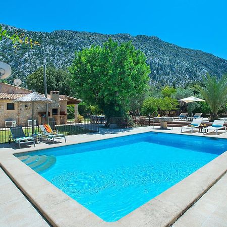 Owl Booking Villa Pau - Fantastic Views ポレンサ エクステリア 写真